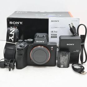 ショット数『4959』SONY(ソニー) ミラーレス一眼カメラ α7RIV ボディブラック ILCE-7RM4A