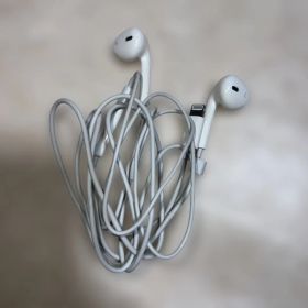 Apple EarPods with Lightning Connector