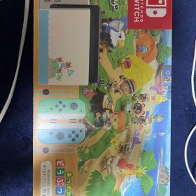 【超希少】Nintendo Switch あつまれ どうぶつの森セット＋プロコン