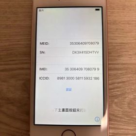 Apple iPhone SE ローズゴールド 本体