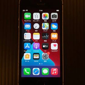 Apple iPhone SE 本体(初代)
