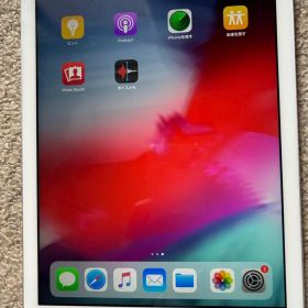 iPad Air 第1世代 16GB シルバー MD794J/A 動作品