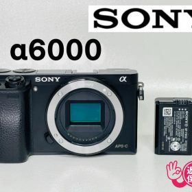 【ショット数4547回】SONY α6000 ボディ ILCE-6000 ソニー
