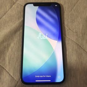 Apple iPhone12Pro本体 256GB SIMフリー