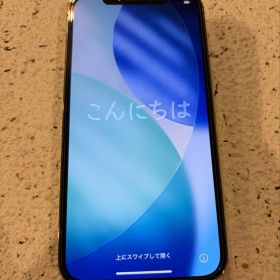 Apple iPhone 12 Pro 本体 128GB