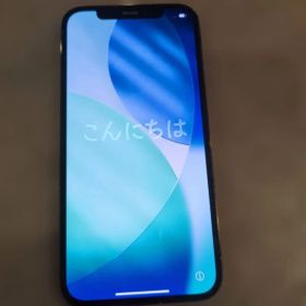 Apple iPhone 12 Pro 本体