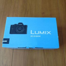 LUMIX ミラーレス一眼カメラ ダブルズームキット DC-G100D