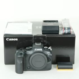[良品 | シャッター数250,131回] Canon EOS R6 Mark II [ボディ] | Canon RFマウント
