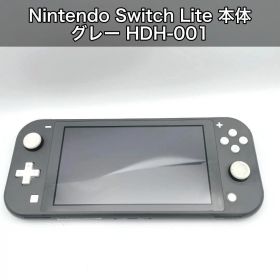 Nintendo Switch Lite 本体 グレー HDH-001