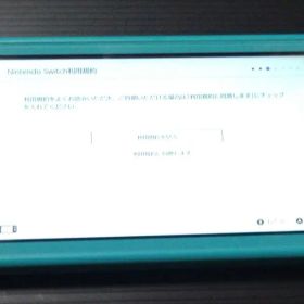 Switchライト ターコイズブルー本体のみ