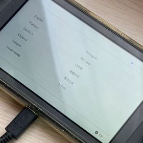 Nintendo Switch Lite グレー 純正充電器付き 動作確認済み