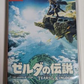 ゼルダの伝説 ティアーズ オブ ザ キングダム Nintendo Switch