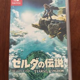 ゼルダの伝説 ティアーズ オブ ザ キングダム Switch