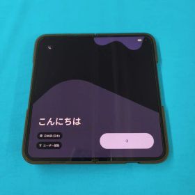 Google Pixel 9 pro Fold 本体