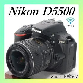 ✨Nikon D5500✨ショット数少✨初心者おすすめ✨高画質✨一眼レフ✨