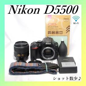✨Nikon D5500✨ショット数4233✨カメラデビューに✨軽量モデル✨