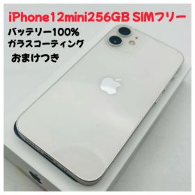 iPhone 12 mini 256GB SIMフリー Apple純正BMS