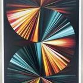 IPAD PRO (第5世代)MHRC3J/A MHRC3J/A APPLE