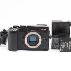 良品 Panasonic Lumix DMC-GX8 ブラック ほ０３７