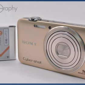 【動作保証】 ソニー SONY Cyber-shot DSC-WX30 5X バッテリー付属 同梱無料 #ak309