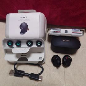 SONY WF-1000XM4 ワイヤレスイヤホン 本体 ジャンク品
