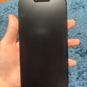 Apple iPhone 13 ProMax 本体 シエラブルー