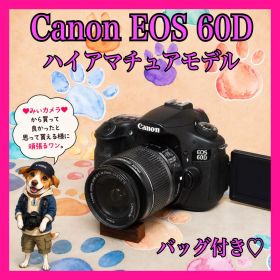✨️Canon EOS 60D✨️本格撮影に❤️ハイアマチュアモデル 届いてすぐ使える