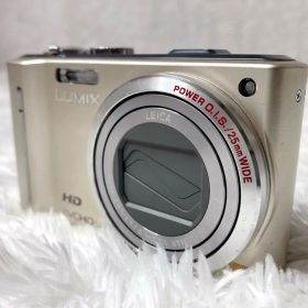 Panasonic LUMIX DMC-TZ10 デジタルカメラ 動作確認済
