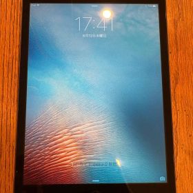 Apple iPad mini 第1世代 本体のみ