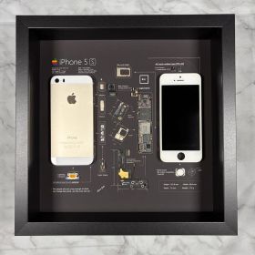 iPhone 5S GOLD 標本アート ボックスフレーム仕様 (スクエア)