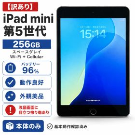 ☆【訳あり】iPad mini 第5世代 256GB スペースグレイ Wi-Fi + Cellular バッテリー96% 動作良好 即購入OK