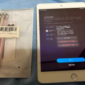 ◯毎日値下げ◯ Apple iPad mini 第5世代 Cellular 美品