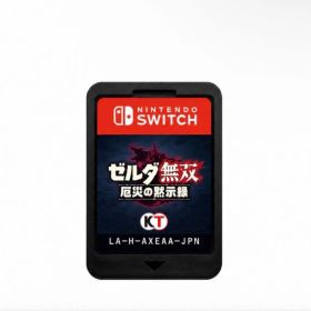 Nintendo Switch ゼルダ無双 厄災の黙示録 ソフトのみ