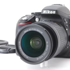 ✨極美品✨ニコン D5300 レンズキット❤️ショット数2,876回！