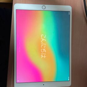 [ジャンク品] iPad pro 10.5ローズゴールド 256GB 北米モデル