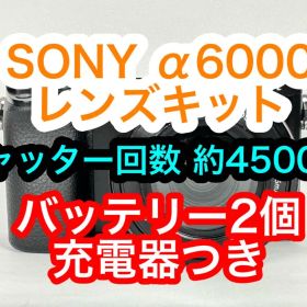 SONY α6000 レンズキット シャッター回数4500回 バッテリー2個