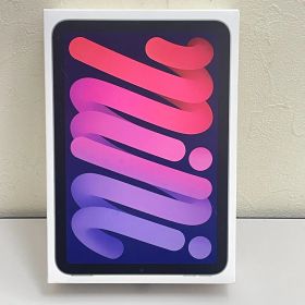【三沢店70-01-0813】 Apple iPad mini A17 Pro 256GB Wi-Fiモデル バッテリー状態良好