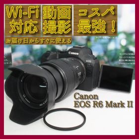 ❤️予備電池付❤️Canon EOS R6 MARK II 近遠対応レンズ