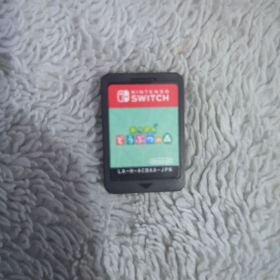 あつまれ どうぶつの森 ケースなし