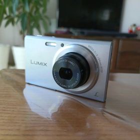 Panasonic LUMIX DMC-FH10 グレー SDカード付き