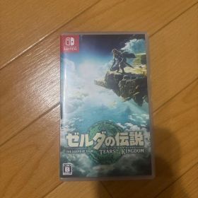 ゼルダの伝説 ティアーズ オブ ザ キングダム Nintendo Switch