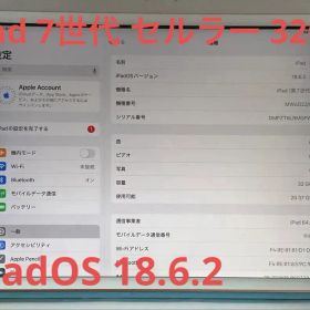 Apple iPad 第7世代 セルラー 32GB ゴールド OS 18.6.2