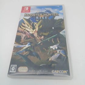 Nintendo Switch モンスターハンター ライズ