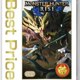 モンスターハンターライズ 2本セット