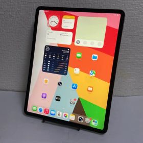iPad Pro 12.9インチ（第3世代）256GB AU SIMフリー 19