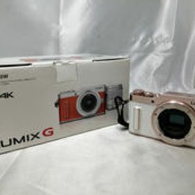 ミラーレス一眼カメラ DC-GF10W ダブルレンズキット PANASONIC