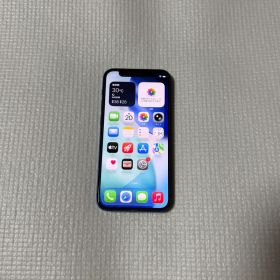 ⭐︎SIMフリー iPhone12mini 256GB ブルー