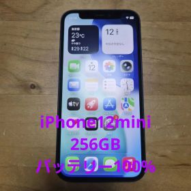 【格安】Apple｜iPhone 12mini 256GB｜SIMフリー ブルー