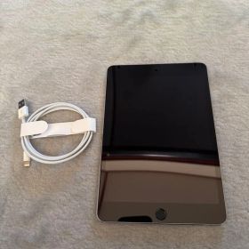 Apple iPad mini4 16GB Wifi