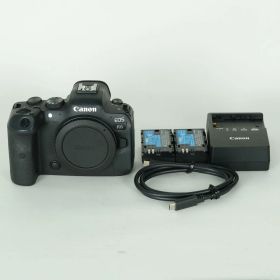 [良品 | シャッター数24,494回｜バッテリー2個付] Canon EOS R6 [ボディ] | Canon RFマウント